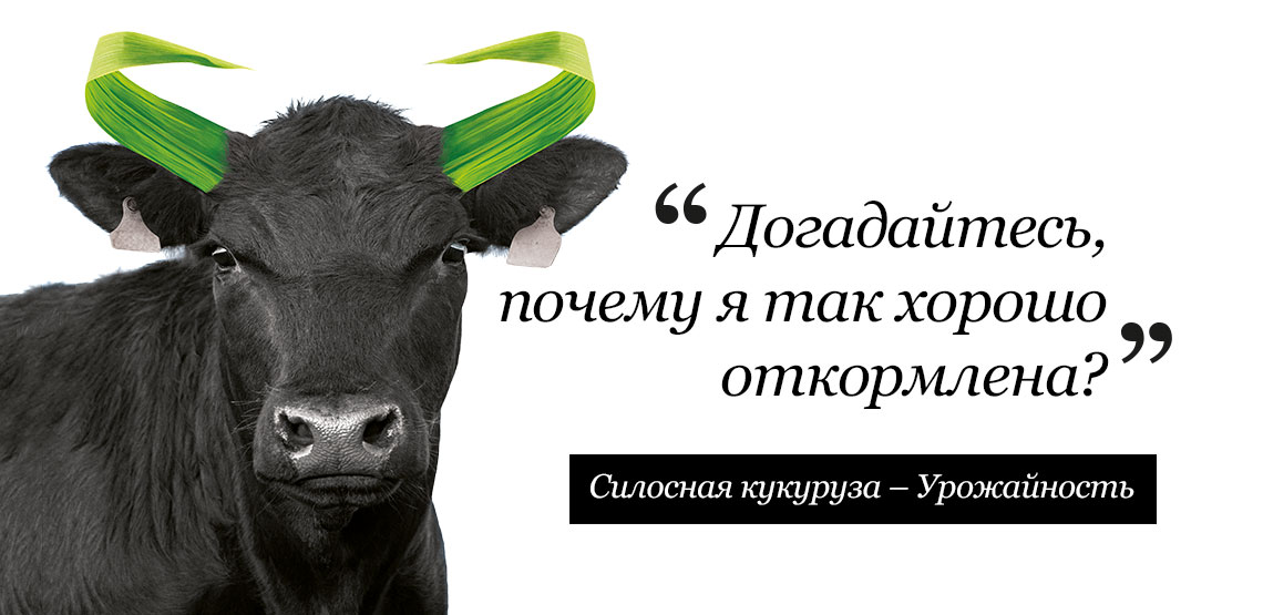 header-fourrage-viande
